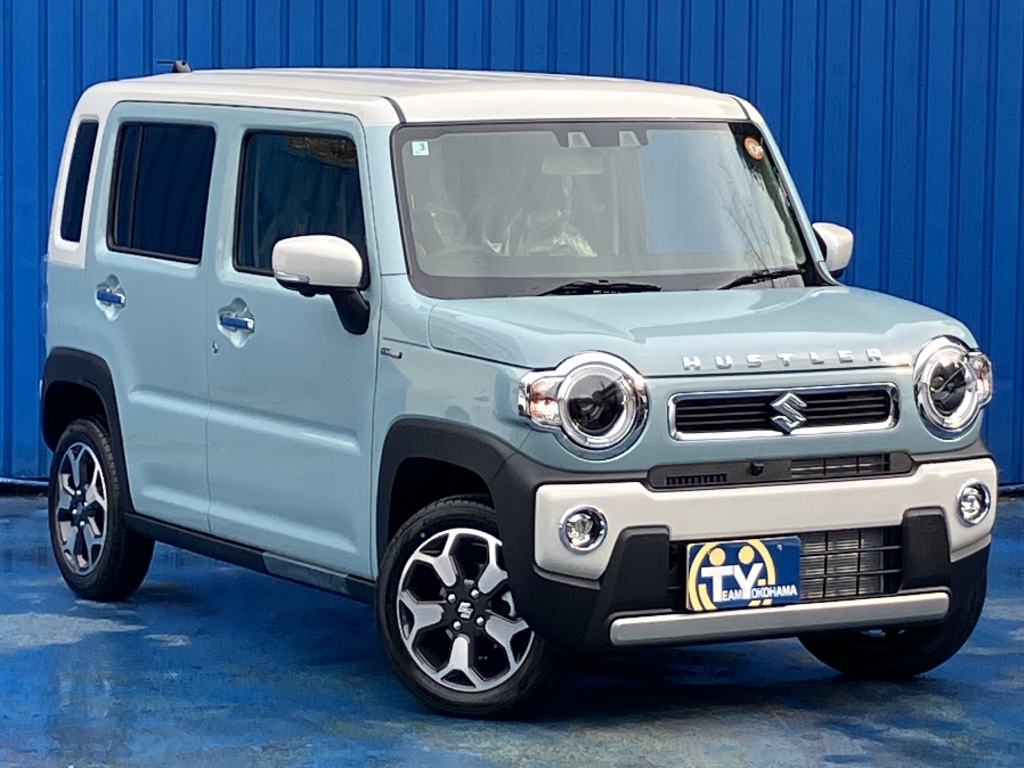 在庫車写真